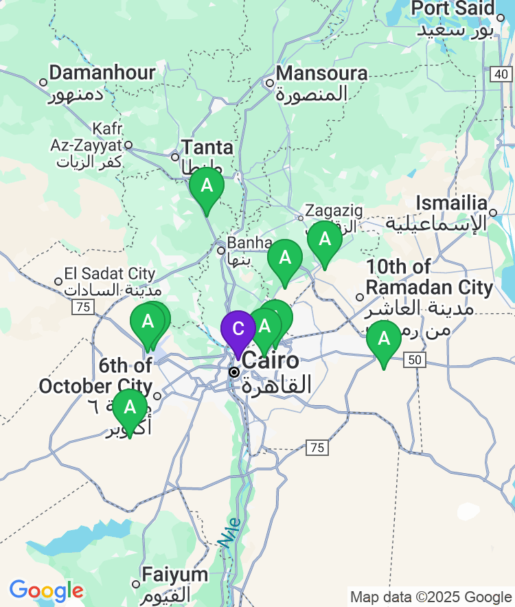 Cairo Available Airport Options